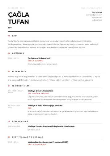Ebe Cv Örnekleri cv indir